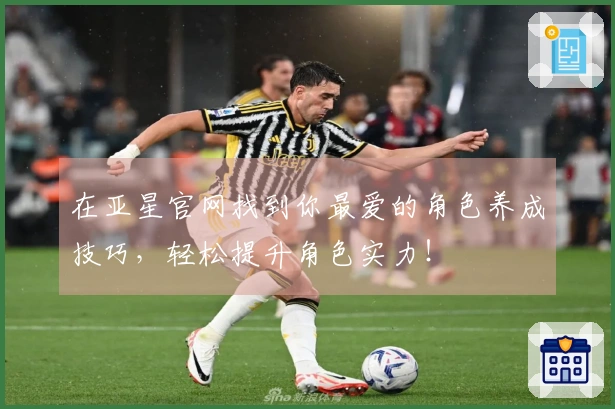 在亚星官网找到你最爱的角色养成技巧，轻松提升角色实力！