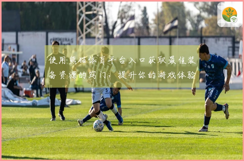 使用熊猫体育平台入口获取最佳装备资源的窍门，提升你的游戏体验