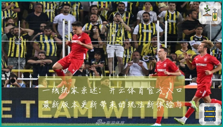 一线玩家亲述：开云体育官方入口最新版本更新带来的玩法新体验与战术调整