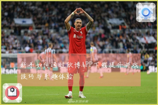 新手如何通过欧博APP下载提升游戏技巧与乐趣体验