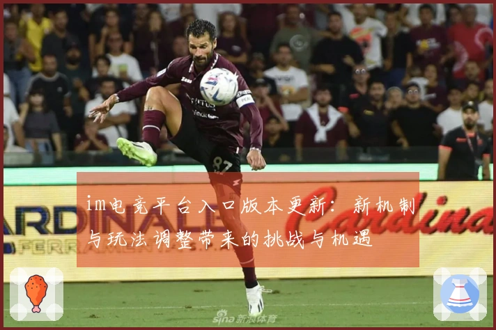 im电竞平台入口版本更新：新机制与玩法调整带来的挑战与机遇